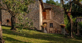 Poggio dell' orso